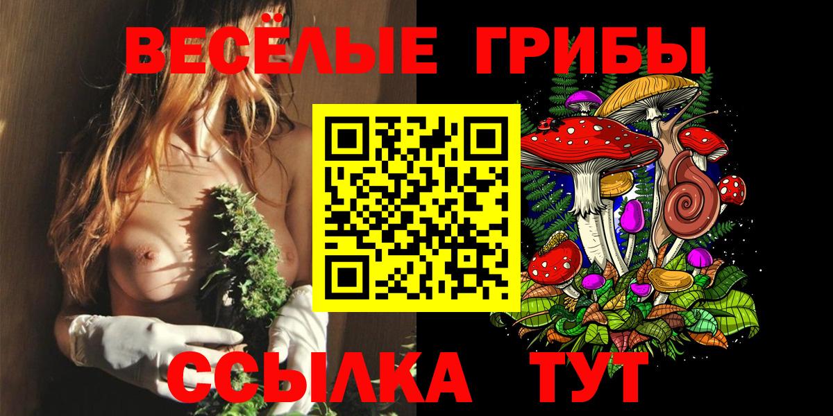 Псилоцибиновые грибы Psilocybe  Вход с VPN  Ирбит 
