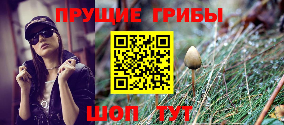 Псилоцибиновые грибы ЛСД Ирбит